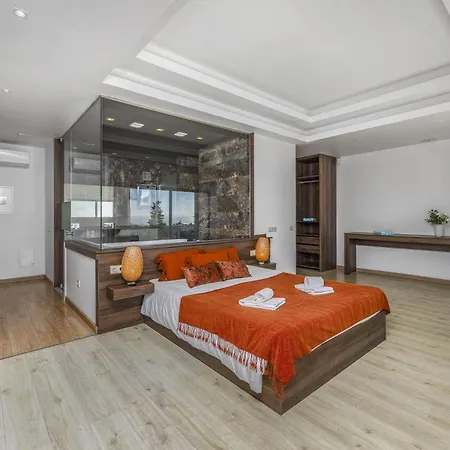Vila Vintila By